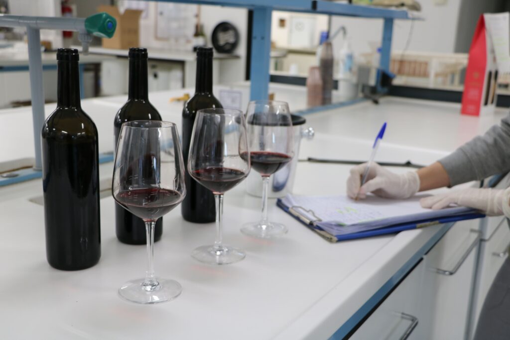 consulenze enologiche
